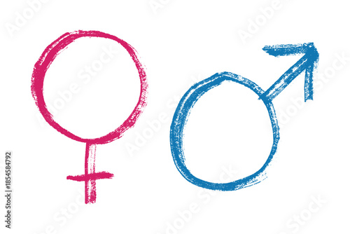 Hand drawn female and male gender identity sign Symbol used to represent sex and gender Single element for print, web, design, decor