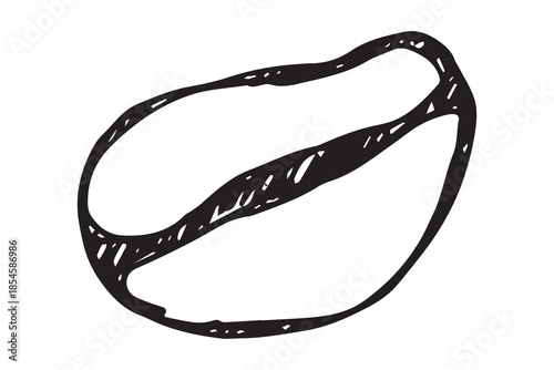 Hand drawn fresh roasted coffee bean Arabica robusta seed doodle Single element for print, web, design, decor