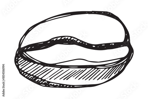 Hand drawn fresh roasted coffee bean Arabica robusta seed doodle Single element for print, web, design, decor