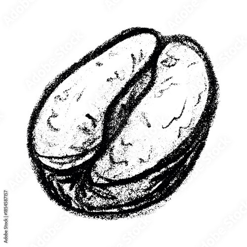 Hand drawn fresh roasted coffee bean Arabica robusta seed doodle Single element for print, web, design, decor