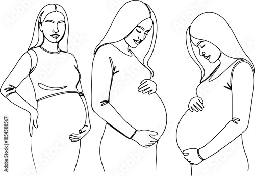 Stages of pregnancy vector Illustration