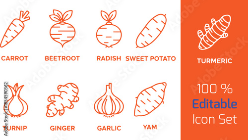 Root vegetable line icon set of 9, carrot, beetroot, radish, turnip, ginger, garlic, sweet potato, yam, turmeric, outline vector on white.