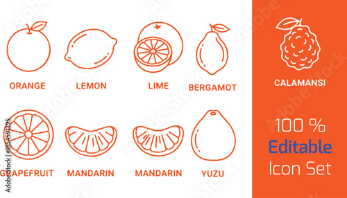  Citrus fruit line icons set of 9, orange, lemon, lime, grapefruit, mandarin, pomelo, yuzu, calamansi, bergamot, white background vector