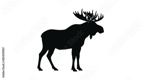 A striking black moose profile against a white background silhouette