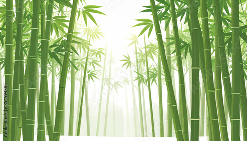 Flat Bamboo Forest Sunbeams