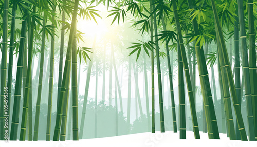 Flat Bamboo Forest Sunbeams