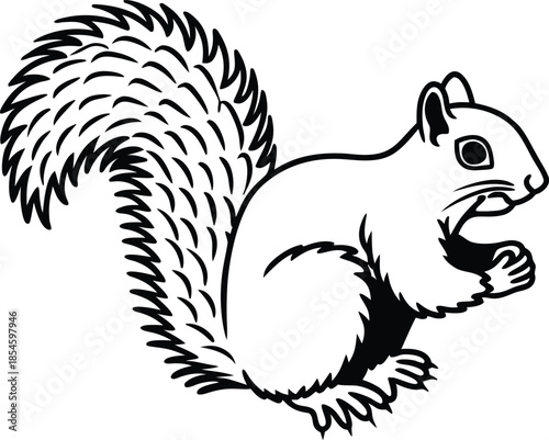 squirrel stylized silhouette vector illustration
