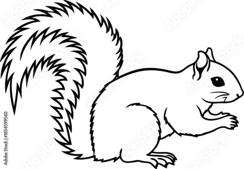 squirrel graphic silhouette vector illustration
