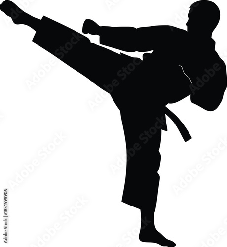 A martial artist performing a kick dynamic pose on transparent background silhouette