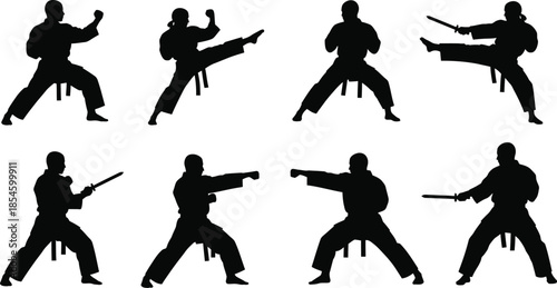 Martial arts poses collection dynamic figures in action on transparent background silhouette