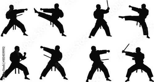 Martial arts poses collection in black silhouette on transparent background