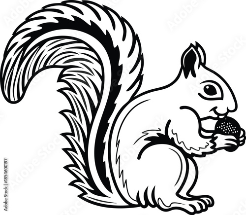 squirrel wild animal silhouette vector illustration
