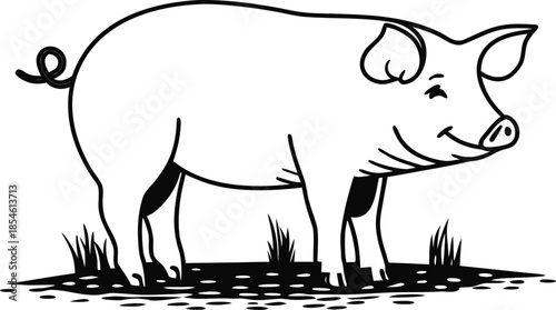 pig animal silhouette vector illustration
