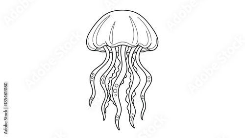 Detailed line art illustration of a jellyfish with long tentacles and multiple spots is isolated on a white background.