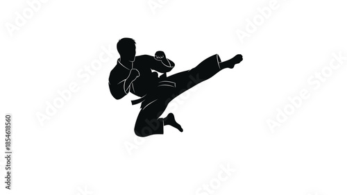 Dynamic martial artist performing a kick in a striking pose silhouette
