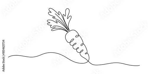Continuous line art drawing of a carrot vegetable with leaves on a white background Vector, illustration