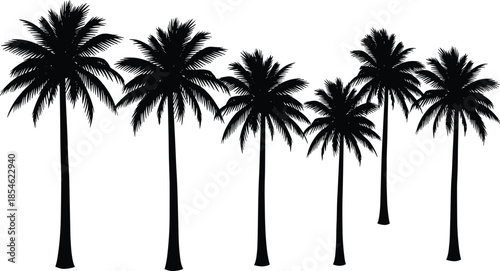 Black palm tree silhouettes vector set isolated on white background featuring tropical coconut and date palm trees for summer beach nature designs