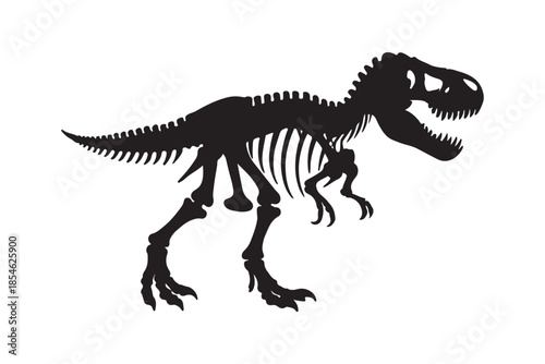 T rex dinosaur skeleton negative space silhouette isolated on white background