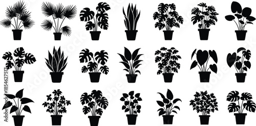 Indoor houseplant silhouette vector set, black potted tropical foliage collection, decorative botanical icons isolated on white background illustration