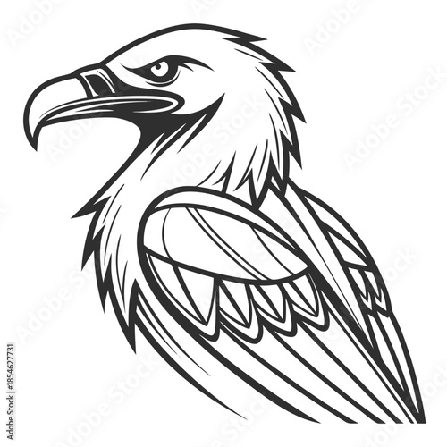 eagle vector illustration