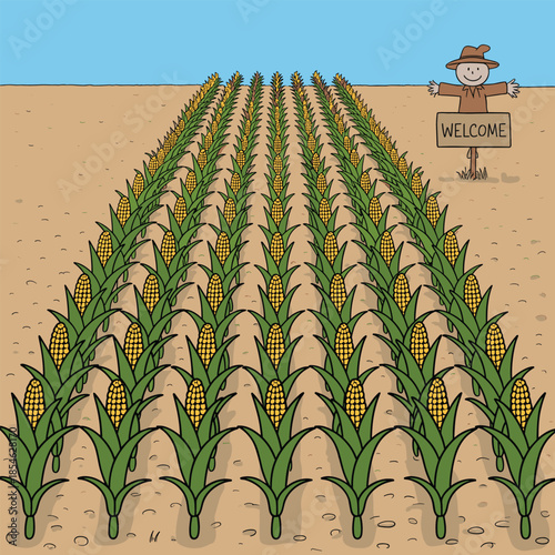 Cornfield with a scarecrow and a welcome sign under a blue sky farm agriculture