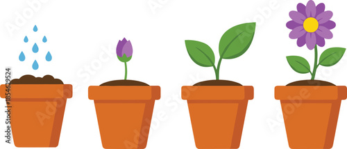 Four Stages of Plant Growth in Terracotta Pots with Water Droplets Keywords: plant, growth, stages, pot, terracotta, soil, water