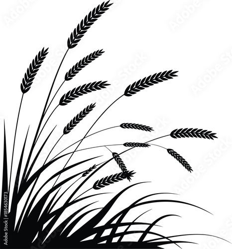 Wheat silhouette illustration, black and white botanical art, farming concept, harvest season, nature design, agricultural graphic, rustic grain decor