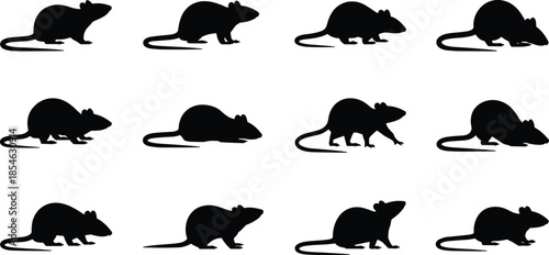 Rat silhouette set showing mouse rodents in different poses isolated white background animal vector illustration collection design
