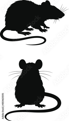 Rat silhouette, mouse silhouette, rodent comparison, animal shapes, black vector, pest control, wildlife icon, side view, front view, isolated graphic