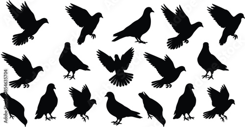 Black bird silhouettes collection, flying pigeon poses, avian icon set, minimal vector, wildlife design, isolated shapes, graphic illustration, symbol pack