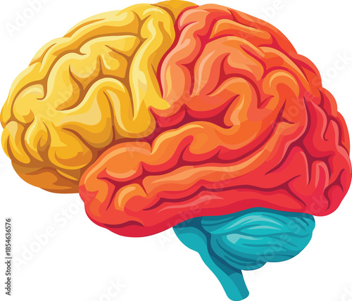 Colorful human brain illustration, neuroscience concept, creative thinking, artificial intelligence, psychology, education, anatomy, cognition, innovation, mental health, science