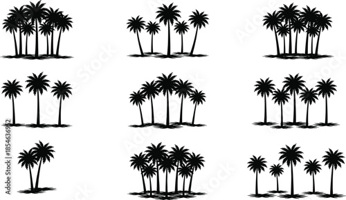 Palm tree silhouette collection, tropical palm trees isolated on white background, summer beach nature vector illustration black design minimal style