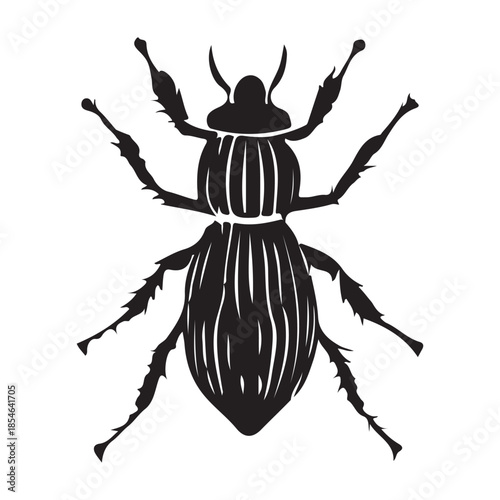 Stunning black beetle silhouette with white background