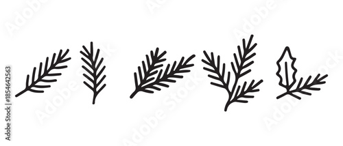 Minimalist black line art winter foliage branches isolated on white background.
