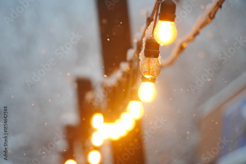 A frozen, burnt-out light bulb. Street lighting. Snowfall.
