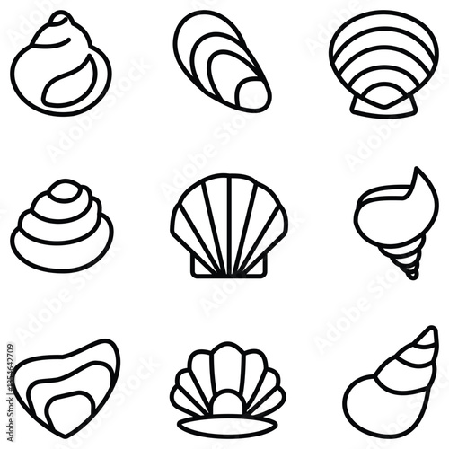 Vector collection of seashell icons featuring conch, scallop, clam, and oyster shells in outline and solid silhouette style