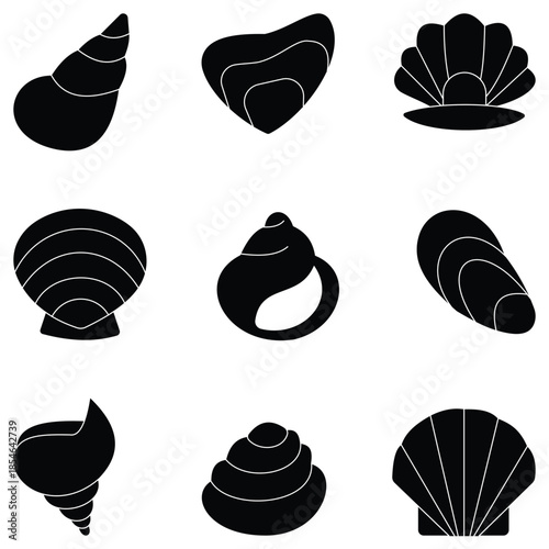 Vector collection of seashell icons featuring conch, scallop, clam, and oyster shells in outline and solid silhouette style