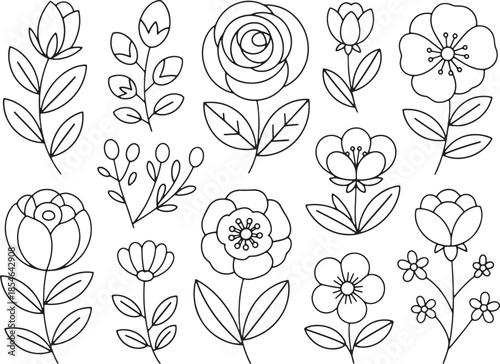Hand Drawn Floral Line Art Flower Collection