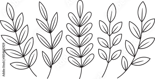 Minimal Botanical Branch Line Art Leaf Set