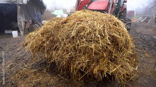 farm. image at an organic farm. detail. 4k video.