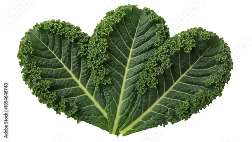 Tableau sur toile Fresh green kale leaves isolated PNG on transparent background, healthy leafy ve