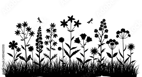 Wildflower Meadow Silhouette with Dragonflies for Summer Nature Designs and Garden Decor