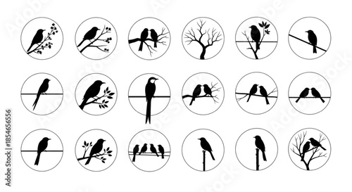 Minimalist Bird Silhouettes on Branches and Wires for Nature and Design Projects