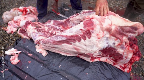 butcher cutting pork meat traditionally. 4k video.