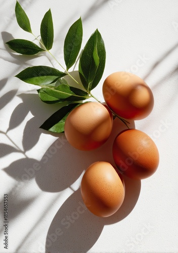 Four brown eggs next to a green leafy branch on a textured white surface