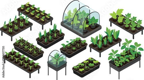 Isometric indoor gardening illustration set showing seedlings, potted plants, greenhouse trays, and modern home plant growing systems