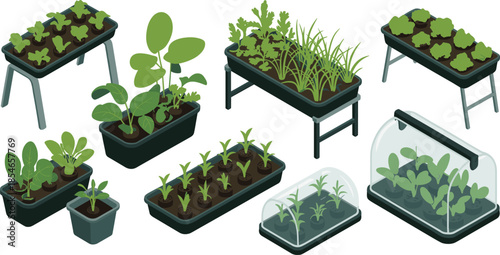 Isometric indoor gardening illustration set showing seedlings, potted plants, greenhouse trays, and modern home plant growing systems