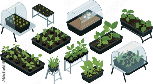 Isometric indoor gardening illustration set showing seedlings, potted plants, greenhouse trays, and modern home plant growing systems
