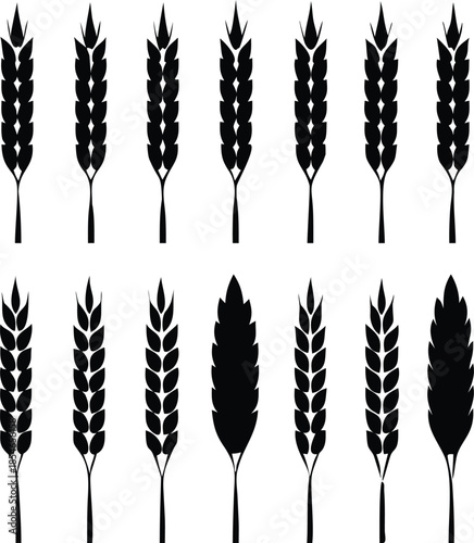 Black Silhouette Set of Wheat Ears and Grain Spikes Isolated on White