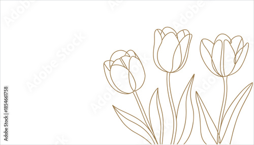 Minimalist line of three tulips line minimalist flowers gold lines white background